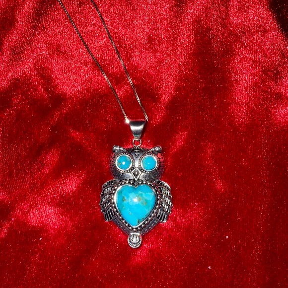 JTV. Like new owl turquoise heart earrings and necklace set. - Picture 2 of 4